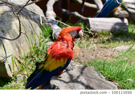 From Nanki Shirahama Adventure World 100113898