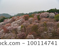 Mt. Yoshino in full bloom of cherry blossoms ③ 100114741