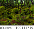 Moss-covered Mononoke no Mori ③ 100114749