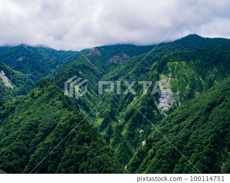 新鮮的綠色山 新鮮的綠色山 100114751
