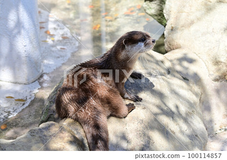 從南紀白濱冒險世界出發 100114857