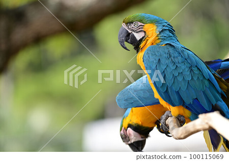 從南紀白濱冒險世界出發 100115069