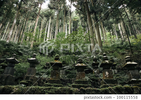 萬願寺 萬願寺 100115558