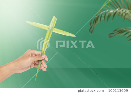 Palm Sunday Palm Sunday 100115609