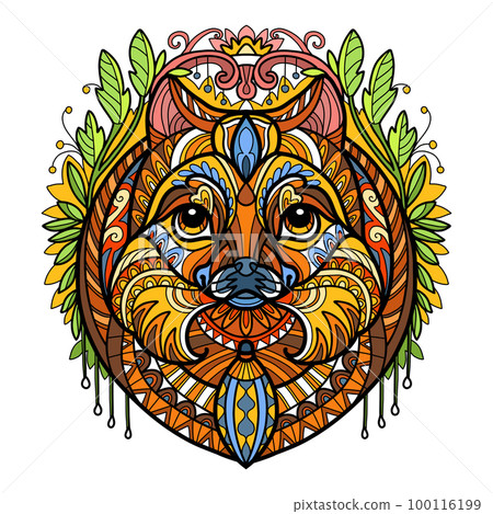 Abstract head of pomeranian dog vector illustration Abstract head of pomeranian dog vector illustration 100116199