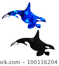 Simple killer whale + fantastic patterned killer whale 100116204