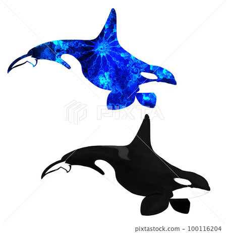 Simple killer whale + fantastic patterned killer whale 100116204
