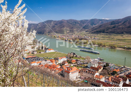 Spitz village with ships on Danube river in Wachau valley (UNESCO) during spring time, Austria Spitz village with ships on Danube river in Wachau valley (UNESCO) during spring time, Austria 100116473