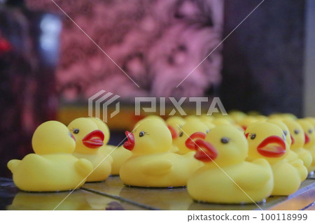 lots of duck dolls 100118999