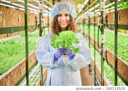 Portrait of joyful female gardener holding green lettuce in greenhouse. Cheerful young woman in garden gloves with green leafy plant in hands standing on blurred background. 100119320