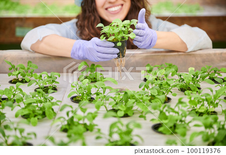 Female gardener working in greenhouse, smiling while standing near shelf with seed trays. Cheerful woman wearing disposable cap and garden gloves. Focus on pot with plant seedlings. 100119376