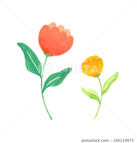 Watercolor illustration of flowers 100119975