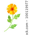 Watercolor illustration of flowers 100119977