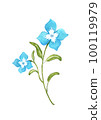 Watercolor illustration of flowers 100119979
