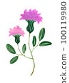 Watercolor illustration of flowers 100119980