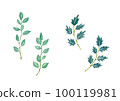 botanical watercolor illustration 100119981