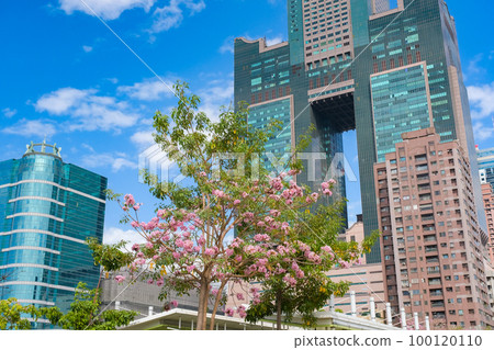 春天的高雄市，台灣 100120110