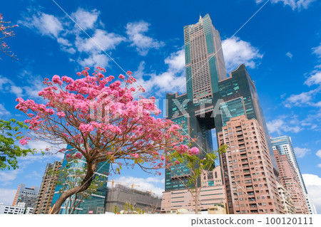 春天的高雄市,台灣 春天的高雄市,台灣 100120111