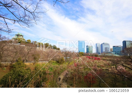 大阪城公園的梅林盛開，今天大阪城的梅林依然繁茂。三月初，梅花開，大阪城， 100121059