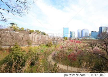 大阪城公園的梅林盛開,今天大阪城的梅林依然繁茂。三月初,梅花開,大阪城, 大阪城公園的梅林盛開,今天大阪城的梅林依然繁茂。三月初,梅花開,大阪城, 100121060
