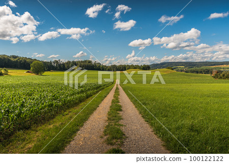 Rural landscape in summer with dirt road and fields Rural landscape in summer with dirt road and fields 100122122