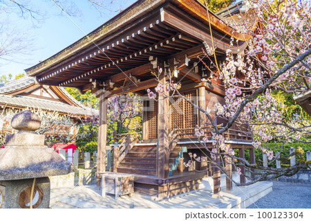 Jonangu Shrine Sessha Serikawa Tenmangu Shrine The season when plum blossoms bloom Jonangu Shrine Sessha Serikawa Tenmangu Shrine The season when plum blossoms bloom 100123304