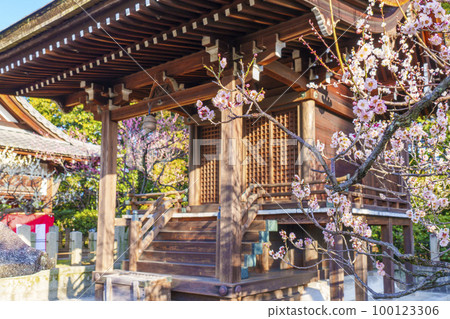 Jonangu Shrine Sessha Serikawa Tenmangu Shrine The season when plum blossoms bloom Jonangu Shrine Sessha Serikawa Tenmangu Shrine The season when plum blossoms bloom 100123306
