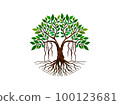 Banyan tree logo with circle shaped 100123681