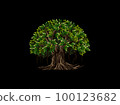 Banyan tree logo with circle shaped 100123682