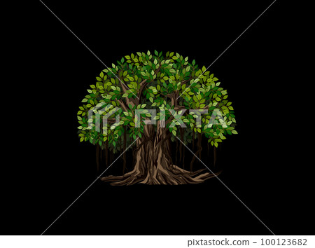 Banyan tree logo with circle shaped 100123682