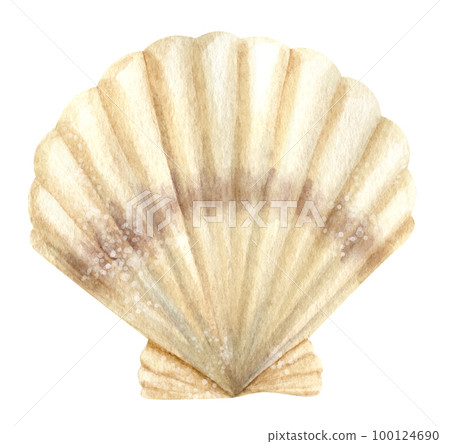 Watercolor Seashell. Hand drawn illustration of Scallop on isolated background. Colorful drawing of Sea Shell. sketch of ocean Cockleshell for icon or logo. Exotic marine fauna. Wild underwater life. Watercolor Seashell. Hand drawn illustration of Scallop on isolated background. Colorful drawing of Sea Shell. sketch of ocean Cockleshell for icon or logo. Exotic marine fauna. Wild underwater life. 100124690