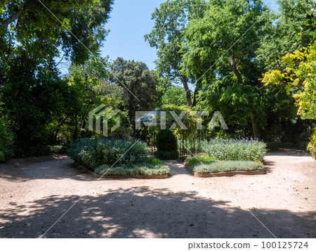 Zappeion Garden in the city center of Athens, Greece 100125724