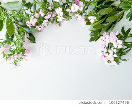 dianthus japonica and laurel leaves. floral frame dianthus japonica and laurel leaves. floral frame 100127466