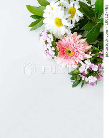 dianthus, gerbera, chamomile, laur. floral a frame 100127469
