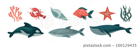 Marine Habitant and Sea Underwater Mammals Vector Set Marine Habitant and Sea Underwater Mammals Vector Set 100129435