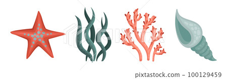 Marine Habitant and Sea Underwater Mammals Vector Set Marine Habitant and Sea Underwater Mammals Vector Set 100129459