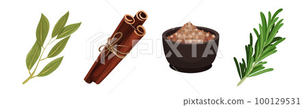Different Spices and Condiments with Bay Leaf, Cinnamon Sticks, Pepper in Bowl and Rosemary Vector Set 100129531