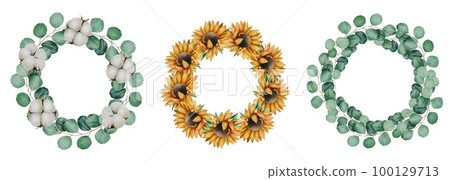 Watercolor compositions of frames and wreaths of eucalyptus, cotton, dried flowers and sunflowers. Hand painting clipart on an isolated background. Print for wedding invitation, designers, decoration Watercolor compositions of frames and wreaths of eucalyptus, cotton, dried flowers and sunflowers. Hand painting clipart on an isolated background. Print for wedding invitation, designers, decoration 100129713