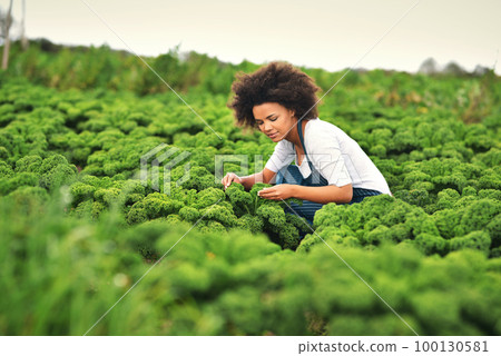 Green fingers. Shot of an attractive young female farmer working the fields. 100130581