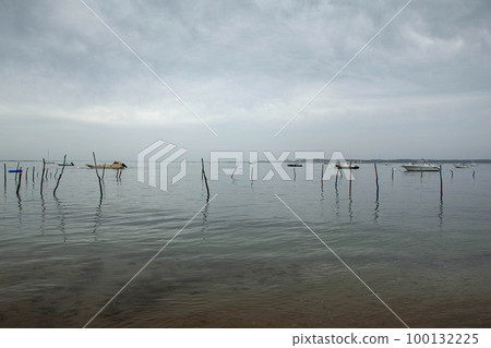 Boats and oyster park stakes at dusk 100132225