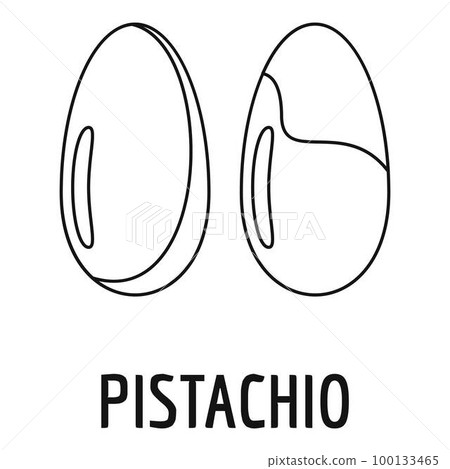Pistachio icon. Outline illustration of pistachio vector icon for web design isolated on white background 100133465