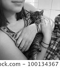 Kitten in the loving hands of his owner 100134367