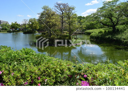Matsumi Park Tsukuba City, Ibaraki Prefecture 100134441