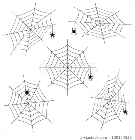 Spider's nest 100134522