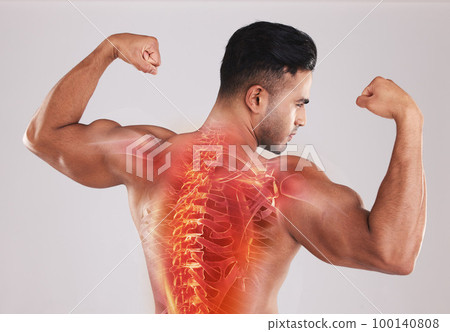 Back, man and spine with x ray, fitness and bicep arms with guy against grey studio background. Male athlete, bodybuilder and gentleman after training, health and strong with anatomy and skeleton Back, man and spine with x ray, fitness and bicep arms with guy against grey studio background. Male athlete, bodybuilder and gentleman after training, health and strong with anatomy and skeleton 100140808