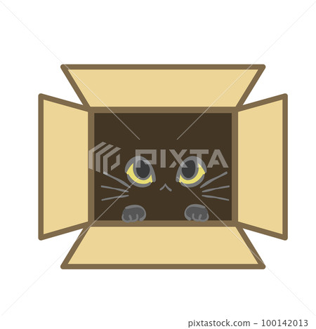 Cat's eyes peeking out of a cardboard box 100142013