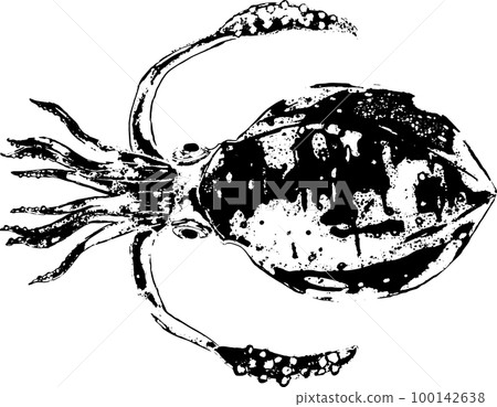大鰭魷魚的水墨畫和魚拓 100142638
