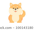 Front Shiba Inu lying down 100143180