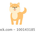 Shiba Inu standing with smile 100143185