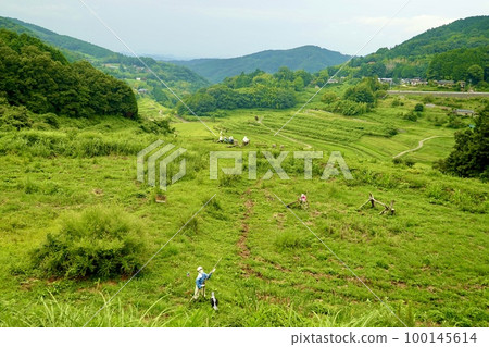 岡山縣久米郡“大干西梯田”日本百強梯田之一的稻草人景觀 岡山縣久米郡“大干西梯田”日本百強梯田之一的稻草人景觀 100145614